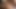 Jada Stevens Sucks A Big Black Boner And Deepthroats