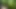 Wanking while cruising in a forest next to a highway, again