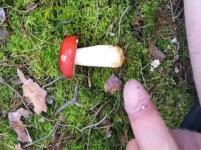 xH_Handy_Spass im Wald from 19.09.21