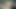 webgasm