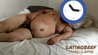 Latino-Bär im Bett