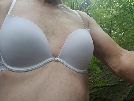 Pregled videozapisa