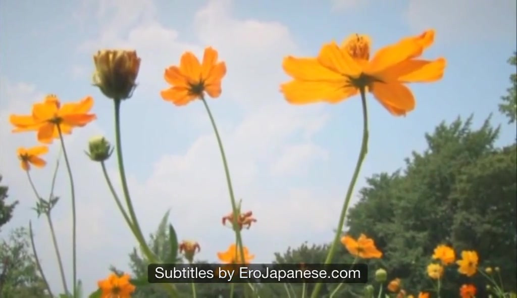 ABS-059：学校最受欢迎的女孩 - 第2部分（英文字幕由erojapanese制作）