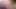 Sissy-Schlampe, Dildo-Blowjob 1
