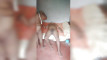 Pratinjau video