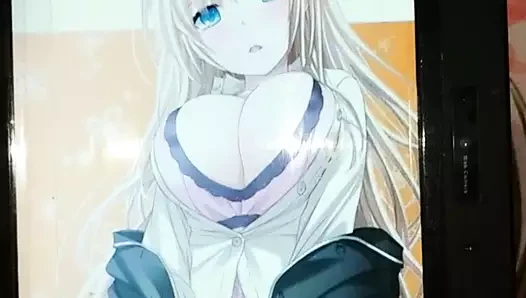 solicitud tribute sena kashiwazaki