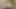 Fat Whores Confession SSBBW Shame
