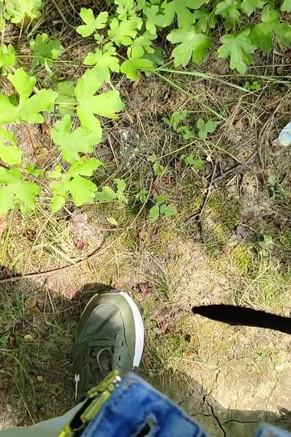 Outdoor Piss