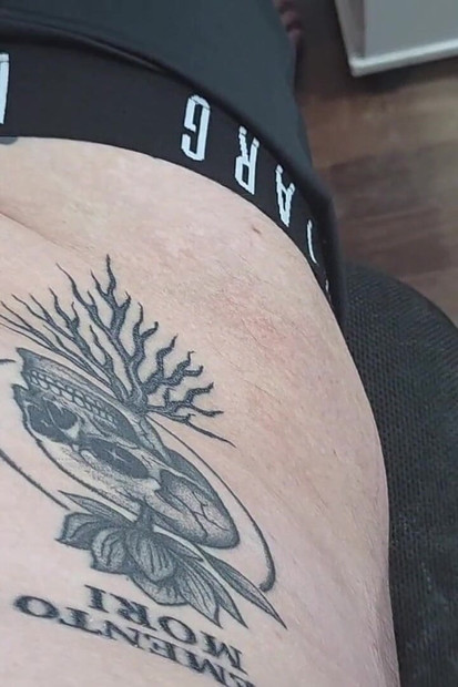 Pregled videozapisa