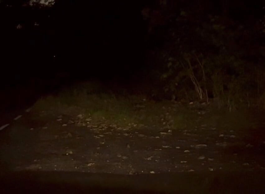 Wanking naked outside in road , few cars pass