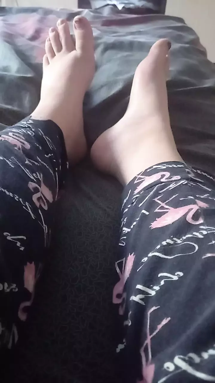 可爱的美腿