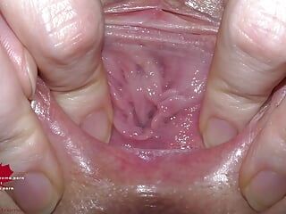 Anatomia externa de uma buceta com grandes lábios em close-up
