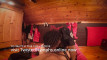 Pratinjau video