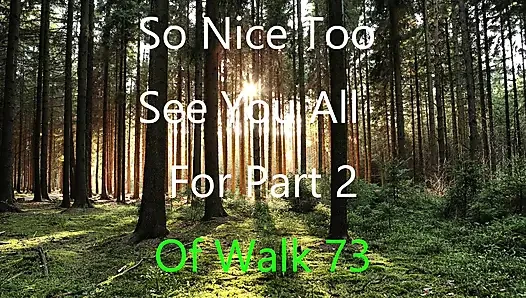 Part 2 Walk 73