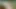 Naruto's Secret Mission with Tsunade. High Quality 3D Animation