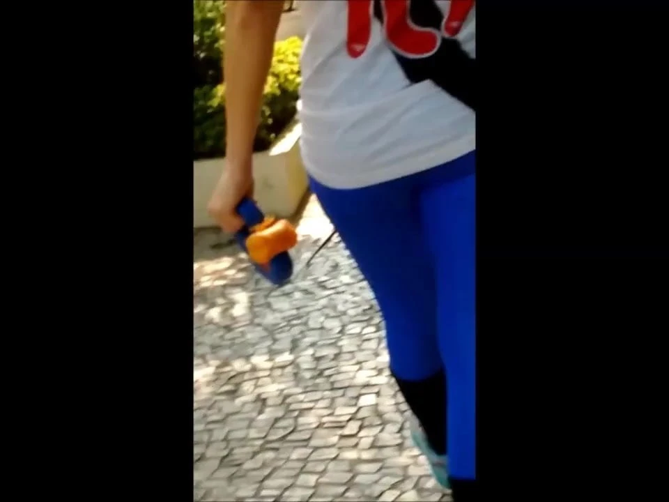 Gata vascaina
