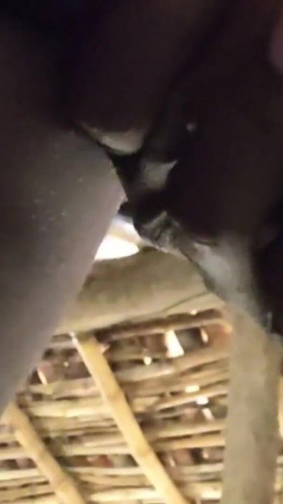 Must-share moment from "Sex with friend brother, cum in mouth, Indian Desi Hindi audio"
