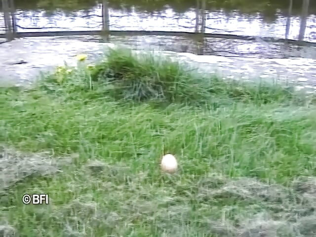 Xkiss - Mc been on the beach, part 4