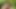 Indian desi boy masturbation on the mountain