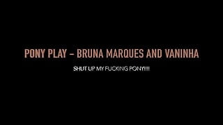 MF Video Brazil