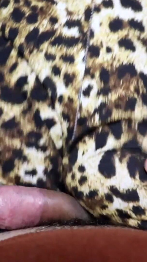 섹시한 레오파드 반바지를 입은 POV 애널 랩 댄스 | 클리 2
