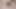 I jerk off a tender virgin pussy - RedHot_Fox