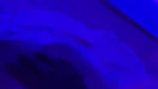 Levei bir casada pro moteli