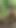 Hunt for GENTLYPERV! Rendezvous in the woods. Will I be able to find that BIG DICK? | Clip 1