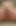 Femboy fucks dildo
