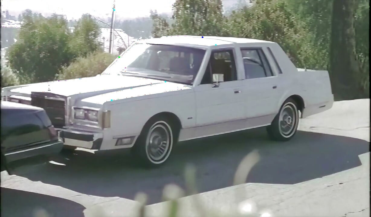 This Vintage Slut Takes a Nice Black Cock Under the Los Angeles Sky