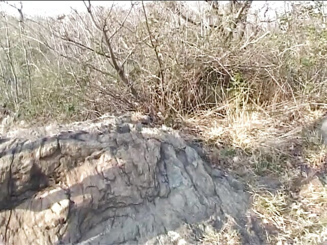 Mondtam, hogy teljesen kurva!