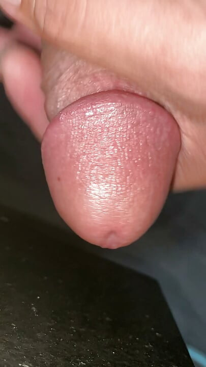 My big cock it's getting an erection from the horn, and it's wanting to fuck someone's pussy hole