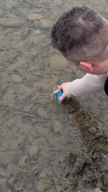 Survival lifehack bushcraft ✅ survival  camping lifehacks outdoors forest bushcraft shorts