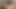 Amateur Full Body Massage with Happy Ending Creampie