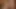 Trisbli Futa Frenzy: Intense Anal Pounding, Gaping Ass, Swallowing Huge Loads - Cum Inside