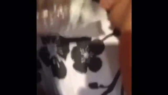 Skunk Showing Her Body To BF
