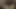 Sürtüğün büyük götü var