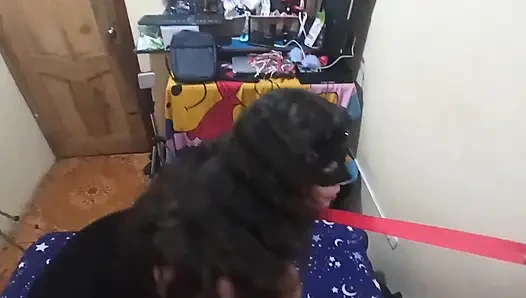 Obedient Wife with Collar - BDSM Walk and Spanking