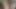Sexgodpicasso Uzgaja Chicago Transvestitu TS Ashleycreamssss Bez Kondoma Sirovo