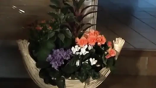 Cewek nakal arab toket besar di-fingering, dientot habis-habisan sampai dicrot di dalam