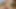 Naked and horny in public - bikecam - Riding nude in nature, shaved body, exhibitionist masturbate to cumshot