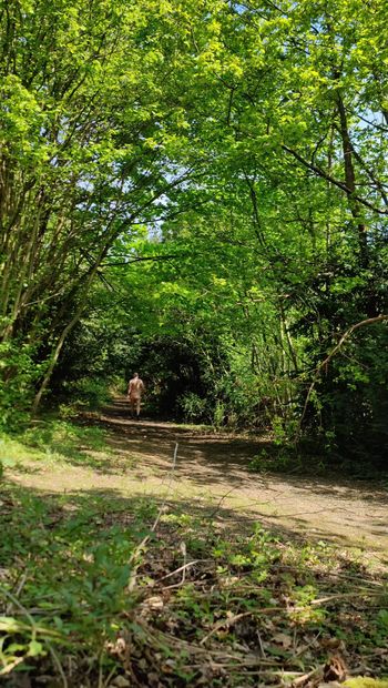Maidstonenakedman andando nua na floresta bluebell hill.