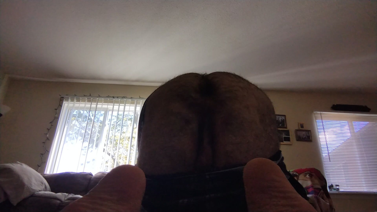 게이 베어, 뭔가에 앉고 싶어하는 중