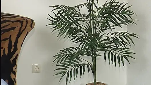 Tante seksi memeknya dijilat sebelum ngentot kontol besar