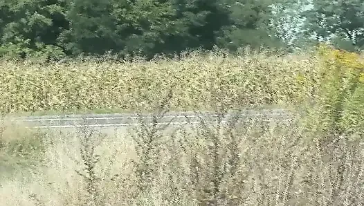 Sex im rücksitz-auto Taxifahrer stoppte auf seitenstraße, sexy blonde MILF wichst schwanz. Mann fickt muschi doggystyle mit sperma