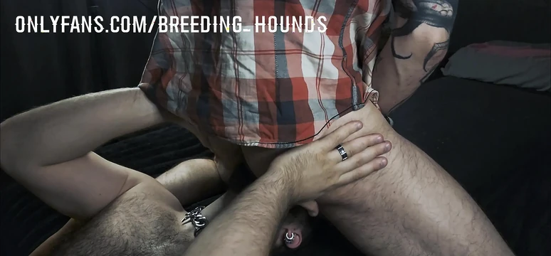 Bearded daddy rimming his bestfriend's furry hole.