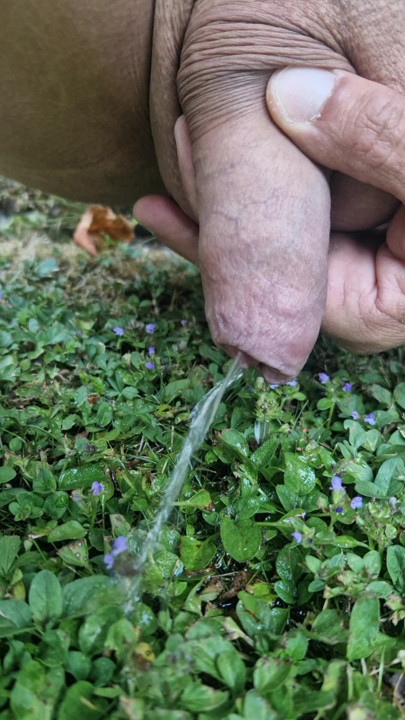 pee fun in the garden