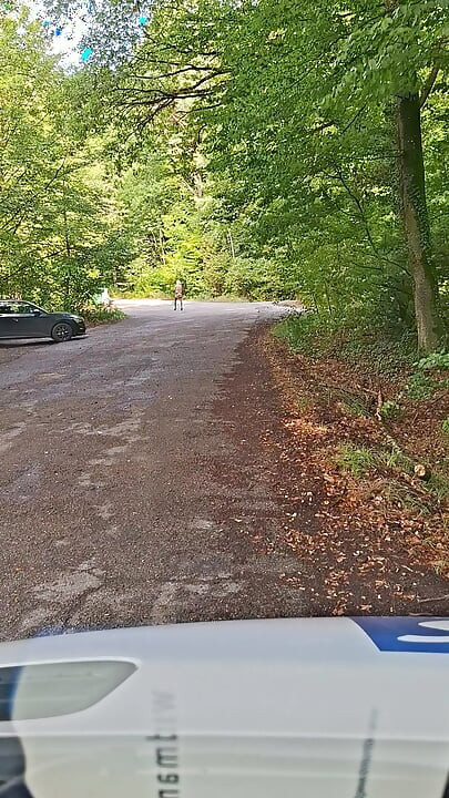 Šumsko parkiralište