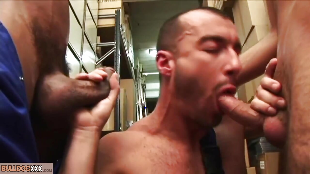 BullDogXXX - セックスアクションの3人の労働者