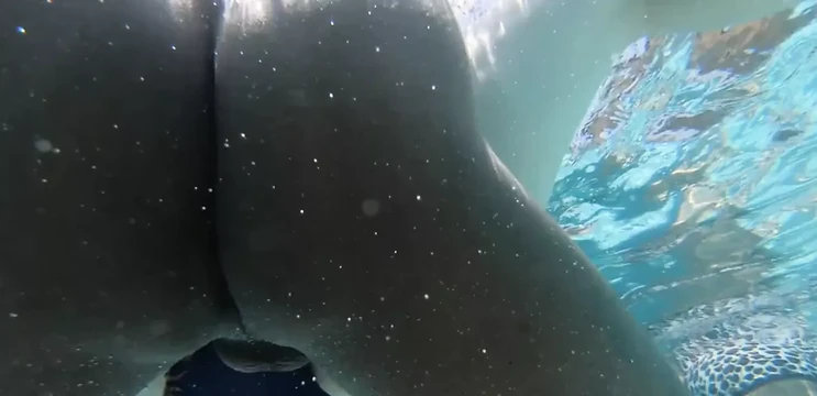 bbw sexy lady has pool party sex with black cock